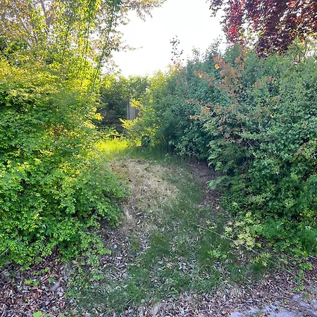 Hyggelige 200kvm Udenfor Taet Pa Vila Koge